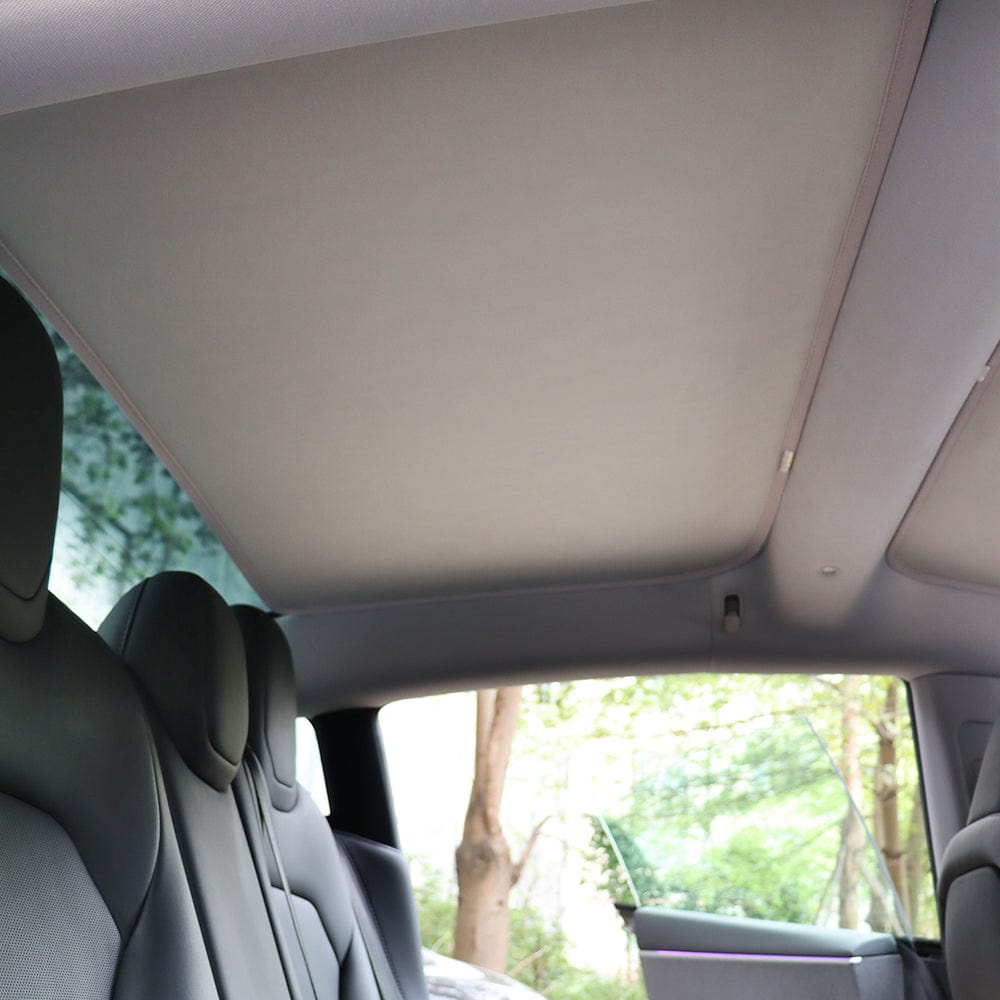 Cleviscoautomotive Tesla Accessories M3 Shades 24/25