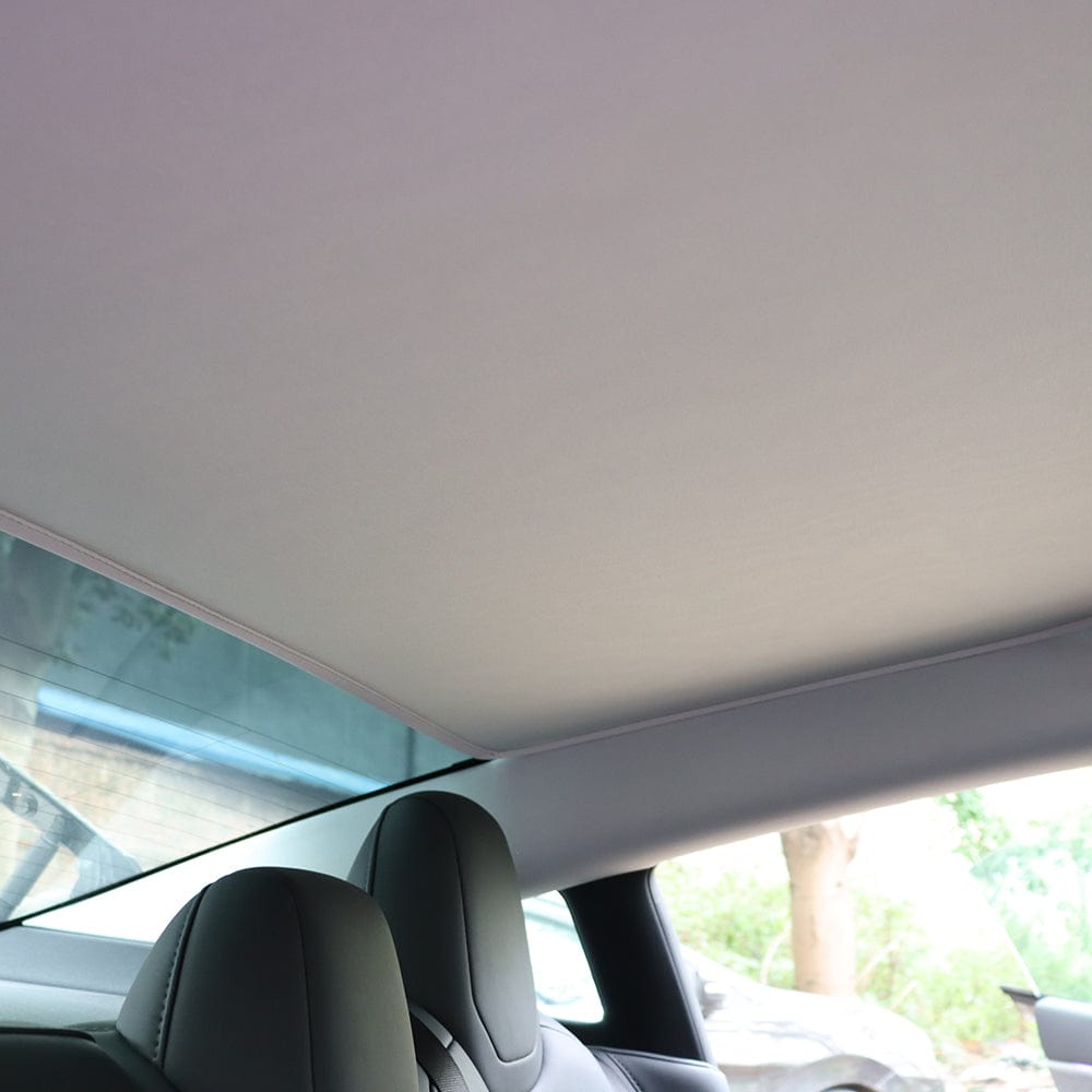 Cleviscoautomotive Tesla Accessories M3 Shades 24/25