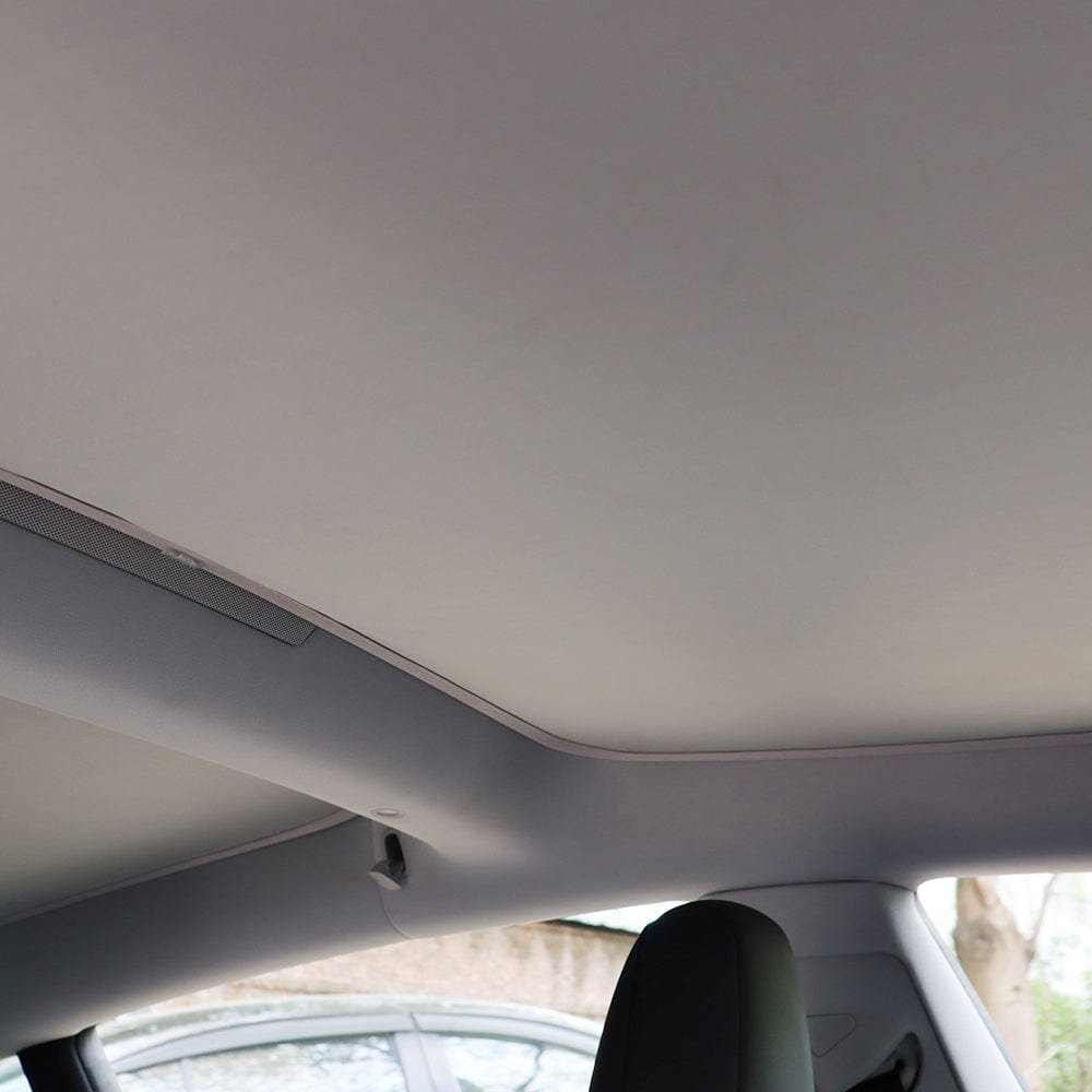 Cleviscoautomotive Tesla Accessories M3 Shades 24/25